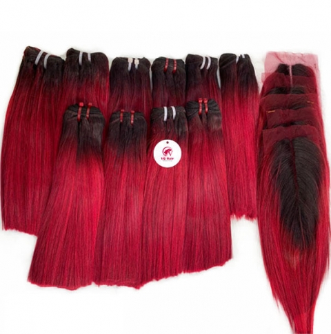 Two tone hair bundles with closure - #1b/99J